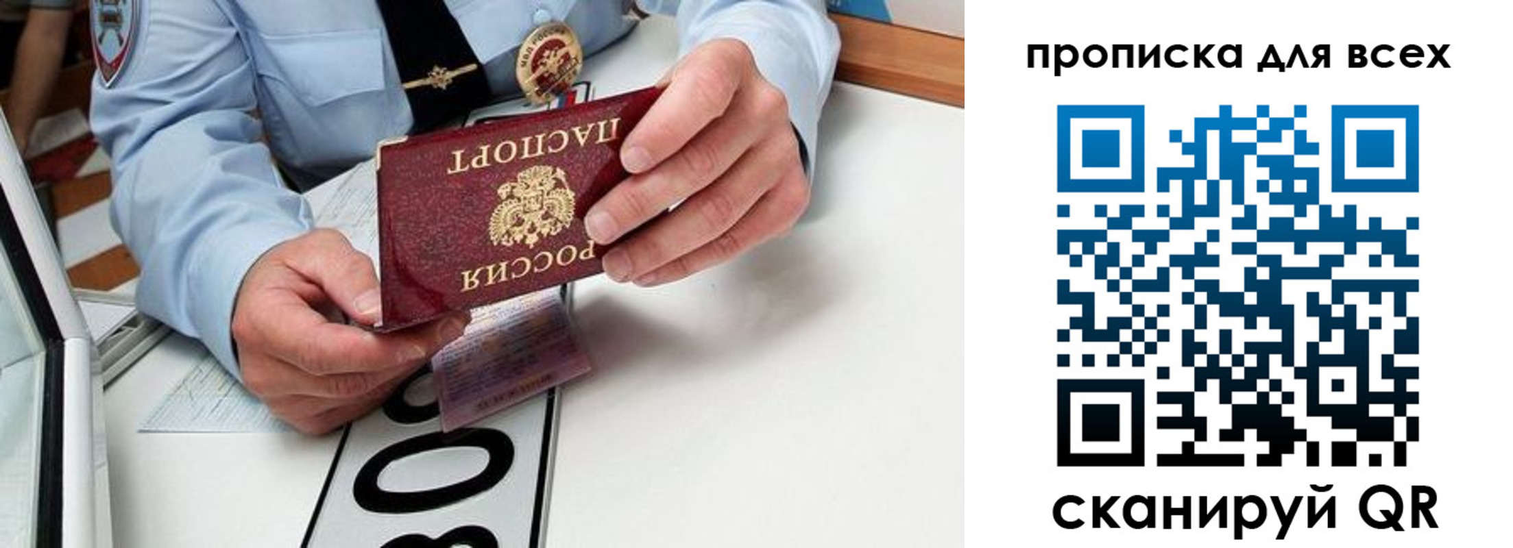 прописка для школы в Мурманской области
